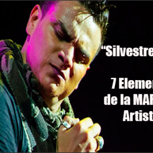 El Artista como  Marca, Caso Silvestre Dangond